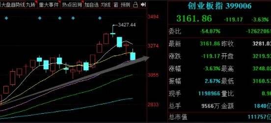 创业板新股-1