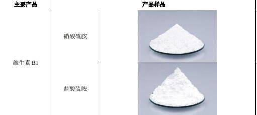 天新药业-2