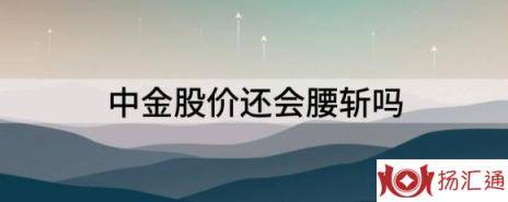 中金公司股票适合长期持有吗（中金股价还会腰斩吗）-1