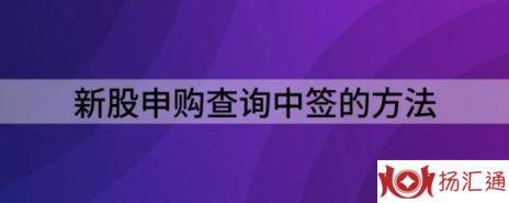 新股中签查询时间（新股申购查询中签的方法）-1