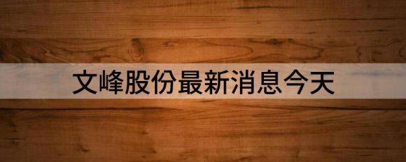 文峰股份最新消息今天（文峰股份跌3.49%报8.56元）-1