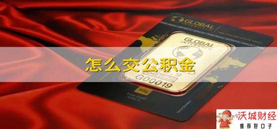 怎么交公积金 公积金如何交