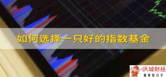 如何选择一只好的指数基金 如何选择优质的指数基金