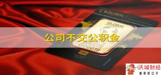 公司不交公积金 公司可以不交公积金吗