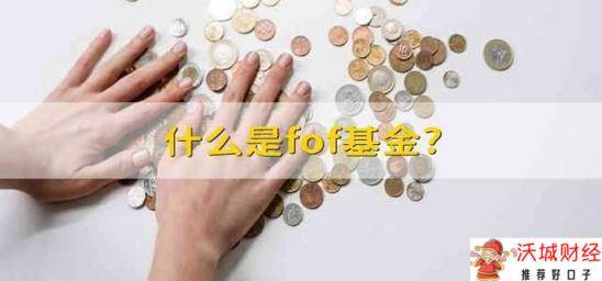 什么是fof基金? fof基金是什么