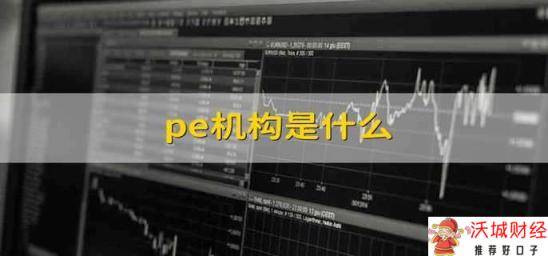 pe机构是什么 pe机构是啥