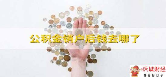 公积金销户后钱去哪了 销户后公积金的钱去了哪里