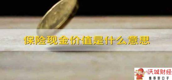 保险现金价值是什么意思 什么是保险单的现金价值