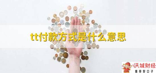 tt付款方式是什么意思，电汇付款方式