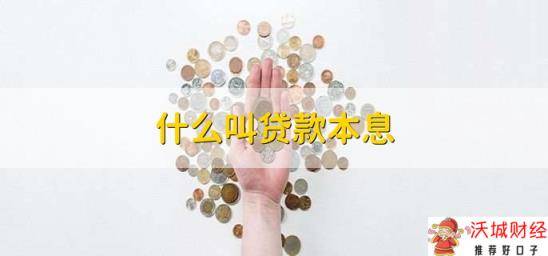 什么叫贷款本息，借款人所获得的金额和还款金额的总金额