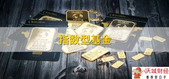 指数型基金，以特定指数为追踪对象