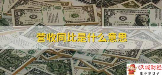 营收同比是什么意思 与上一年同期对比