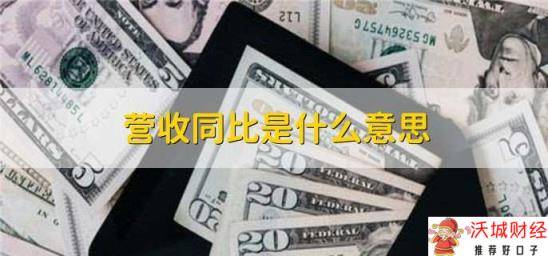 营收同比是什么意思 与上一年同期对比