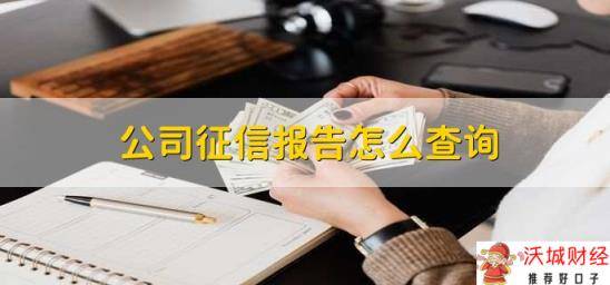 公司征信报告怎么查询，有以下两种方法