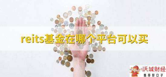 reits基金在哪个平台可以买，有以下两种途径