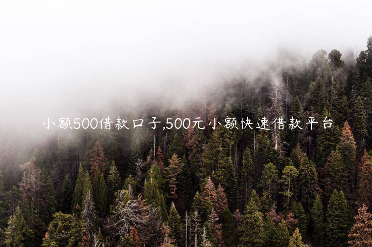 小额500借款口子,500元小额快速借款平台