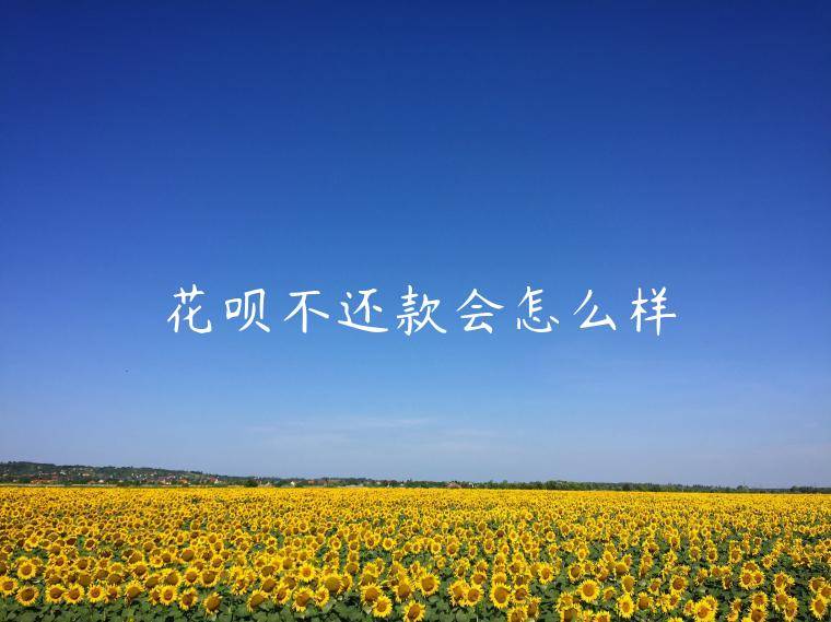 花呗不还款会怎么样