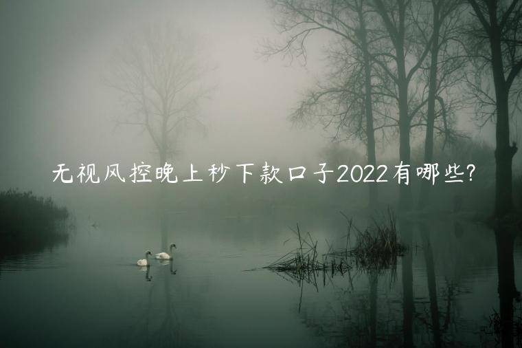 无视风控晚上秒下款口子2022有哪些?