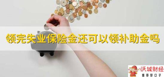 领完失业保险金还可以领补助金吗，可以领取