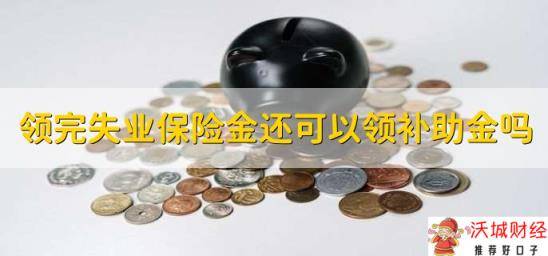 领完失业保险金还可以领补助金吗，可以领取