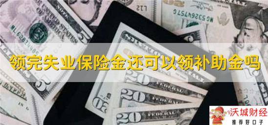 领完失业保险金还可以领补助金吗，可以领取