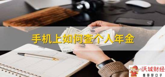 手机上如何查个人年金