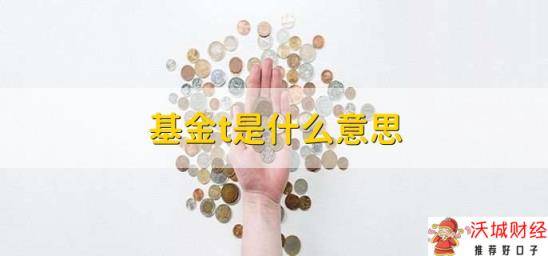 基金t是什么意思，基金的一种短线操作