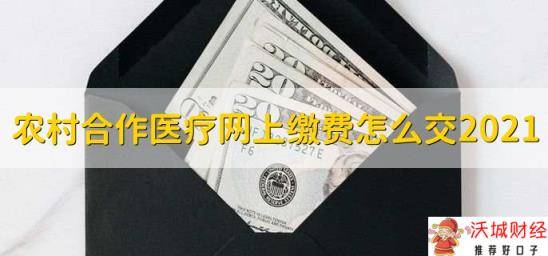 农村合作医疗网上缴费怎么交2021，分为以下四步