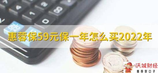 惠蓉保59元保一年怎么买2022年，成都蓉惠保如何报销