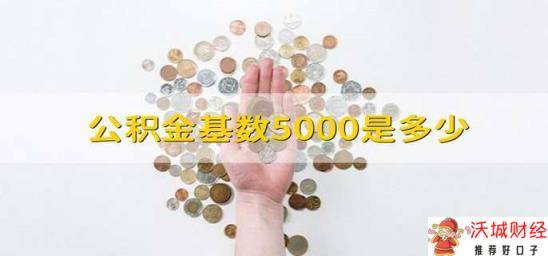 公积金基数5000是多少 工资5000公积金基数是多少