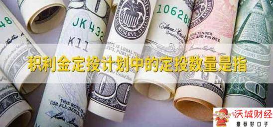 积利金定投计划中的定投数量是指