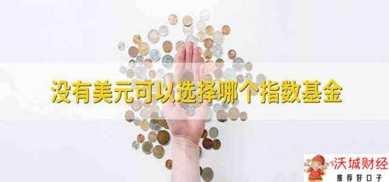 没有美元可以选择哪个指数基金