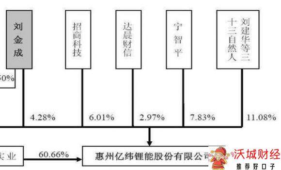 公司股权结构-1