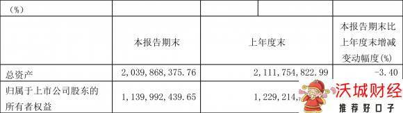 南京化纤股份有限公司-2