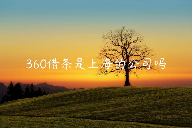 360借条是上海的公司吗