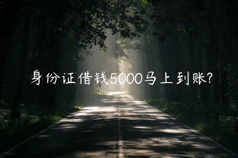 身份证借钱5000马上到账?