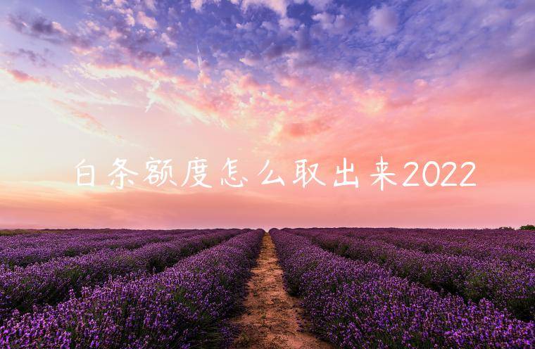 白条额度怎么取出来2022