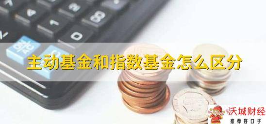 主动基金和指数基金怎么区分