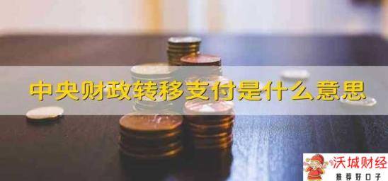 中央财政转移支付是什么意思