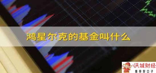 鸿星尔克的基金叫什么 鸿星尔克的基金名字是什么