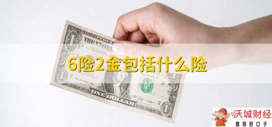 6险2金包括什么险，有以下八点