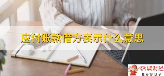 应付账款借方表示什么意思，多支付的金额