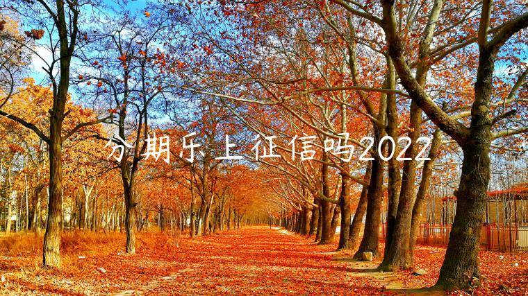 分期乐上征信吗2022