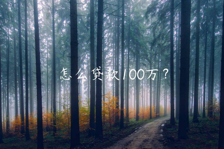 怎么贷款100万？