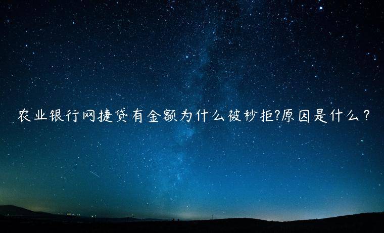 农业银行网捷贷有金额为什么被秒拒?原因是什么？