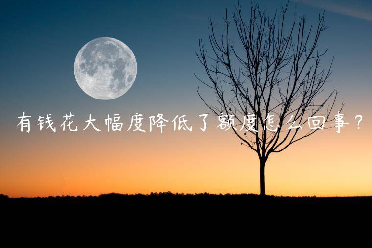 有钱花大幅度降低了额度怎么回事？