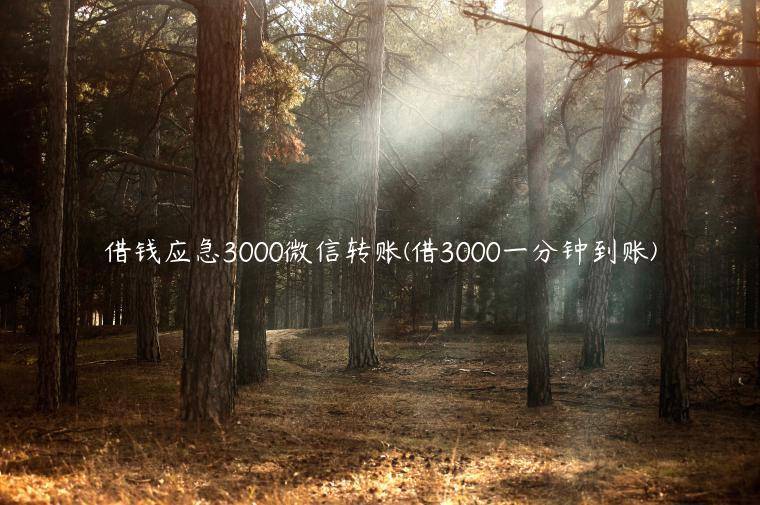 借钱应急3000微信转账(借3000一分钟到账)