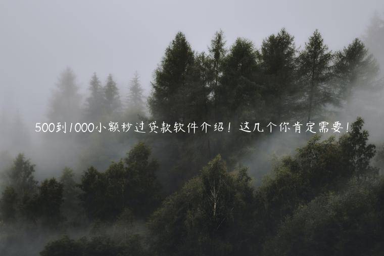 500到1000小额秒过贷款软件介绍！这几个你肯定需要！