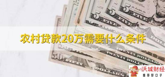 农村贷款20万需要什么条件