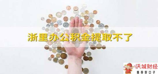 浙里办公积金提取不了 浙里办公积金不能提出来是什么原因